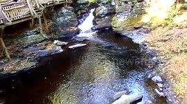 Running stream at Bushkill Falls