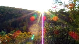 Fall at Bushkill Falls State Park
