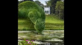 Beautiful human art with nature