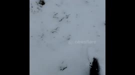 Первый снег
