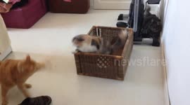 My box