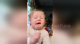 Baby tries lemon for the first time and doesn't like it