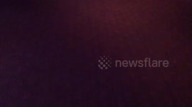 Real life Thor, Loki and Agent Coulson attend Thor: Ragnarok movie