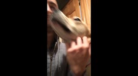 Reunited with my Dog