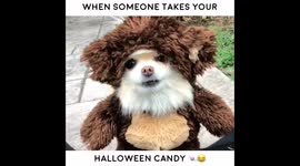 Halloween candy