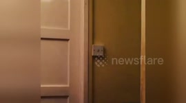 Newsflare Edit - Scare Prank