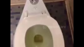 Prankster Urinates On Friends Face