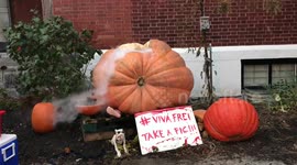YouTuber creates huge fuming pumpkin with dry ice