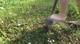 Survival Hack: How to Get Clean Drinking Water From The Ground