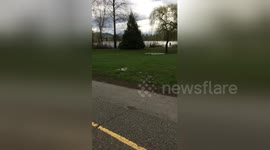 Newsflare Edit - Dad skateboards while pushing stroller