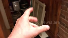 BEST HALLOWEEN DINNER EVER!!!