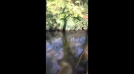 The log of doom funny fail! Man takes a fall into the river