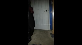 Clever cat opens door to room