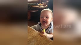 Baby eats lemon for the first time