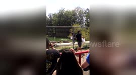 Newsflare Edit - Sneaky alligator trying to eat the zoo keeper