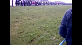 Dog in horse race