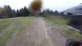 Bike fail / crash into tree
