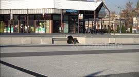Abandoned Dog