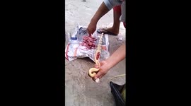 Woman makes liquor with snakes, lizards and birds