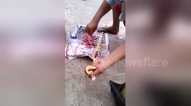 Newsflare Edit - Woman makes liquor with snakes, lizards and birds