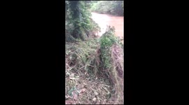 Motorist strips off to rescue drowning dog from flooded rive