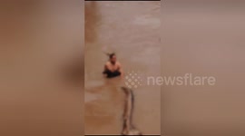 Motorist strips off to rescue drowning dog from flooded river
