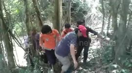 ARCHIVE: Paul Nicholls rescued on stretcher from waterfall in Thailand