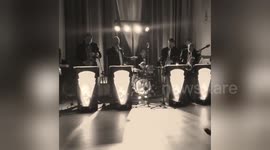 Newsflare Edit - Kal's Kats - Puttin' on the Ritz