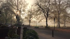 Foggy November morning in Chiswick