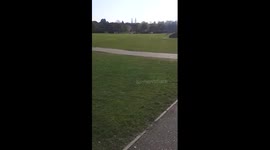 Painful Belly Slide