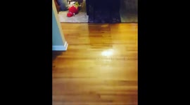 Baby stealing cake