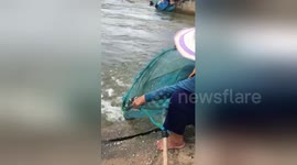 Fish are literally jumping into this elderly Thai woman's net