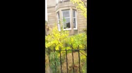 Neighbours cat raging because I'm late
