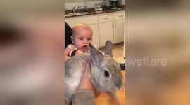 Baby's adorable reaction to meeting rabbit for the first time