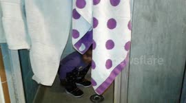 Peekaboo towels