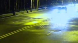 100kg wild boar crushed to death by taxi in China