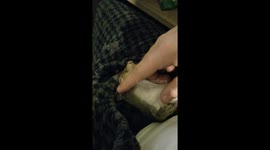 Playing with our pet squirrel, Rocky