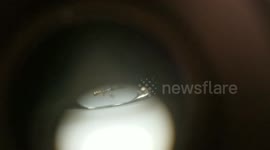 Microscopic Art in the head of a Needle!