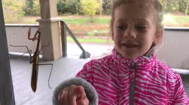 Little Girl Finds Praying Mantis and Tries to Capture it