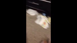 Baby boy laughs hysterically