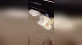 Newsflare Edit - Baby boy laughs hysterically
