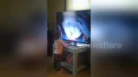 Newsflare Edit - Toddler Gets Bit by Chucky Through the Television: Funny