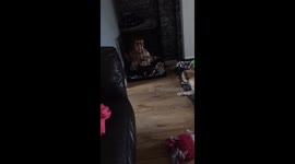 Daughter playing with French Bulldog
