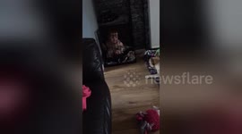 Newsflare Edit - Daughter playing with French Bulldog
