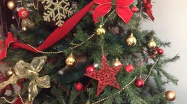 tiger climbing the christmas tree