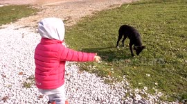 Little girl feeds a dog