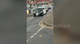 Drivers forced to wait after a SWAN waddled down a busy main road