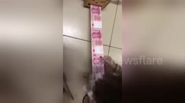 Money box: Girl unfurls special birthday gift from boyfriend