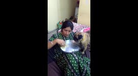 Jealous dog won't let mom feed human brother