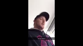 Dog running into screen door